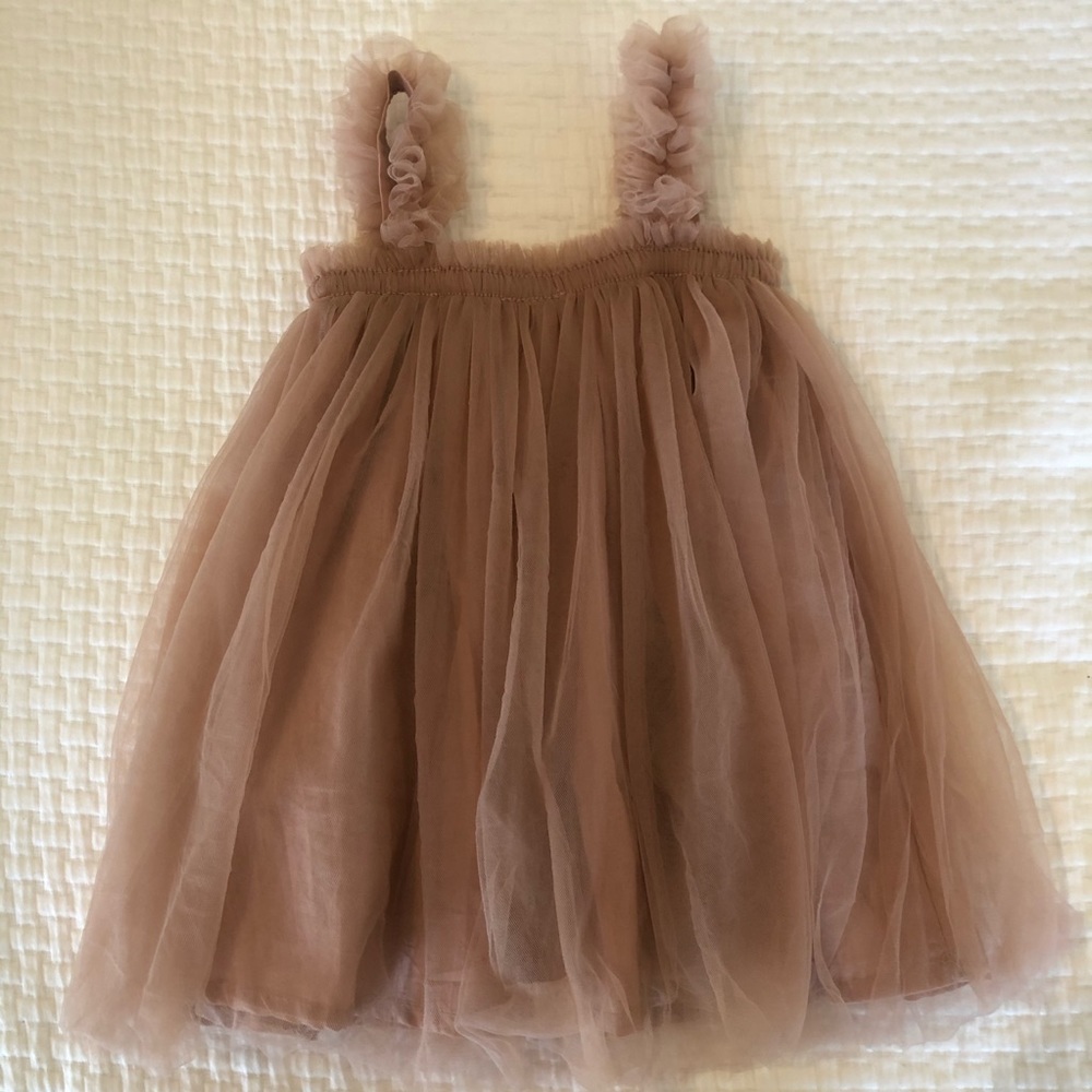 Dusty Rose Tulle Tutu Special Occasion Dress 18M